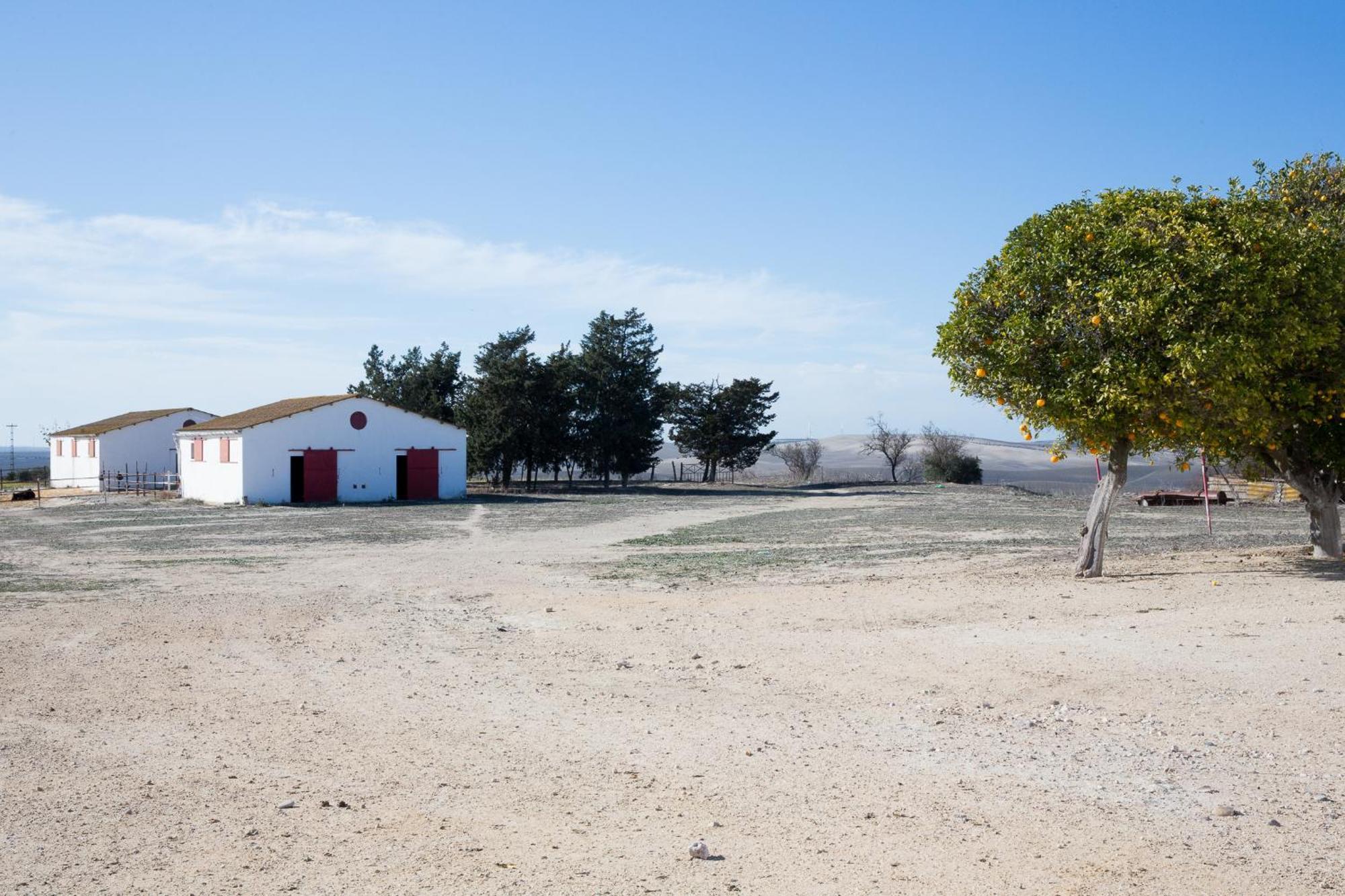 Cortijo Rural La Mariscala Villa Jerez de la Frontera Luaran gambar