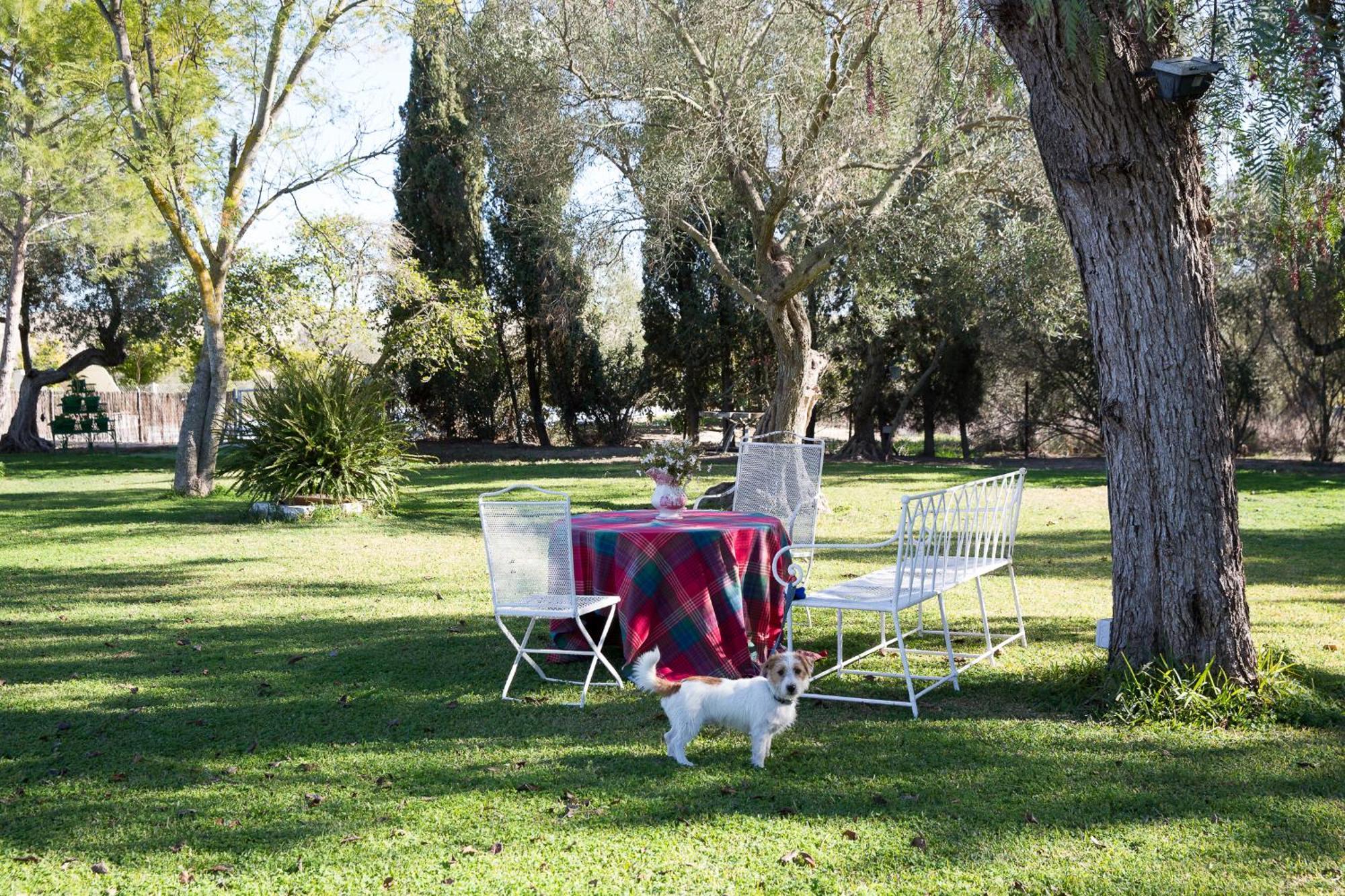 Cortijo Rural La Mariscala Villa Jerez de la Frontera Luaran gambar